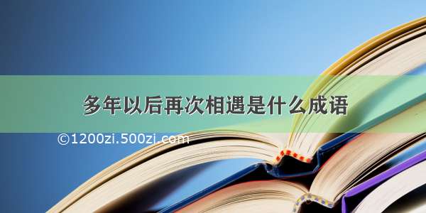 多年以后再次相遇是什么成语