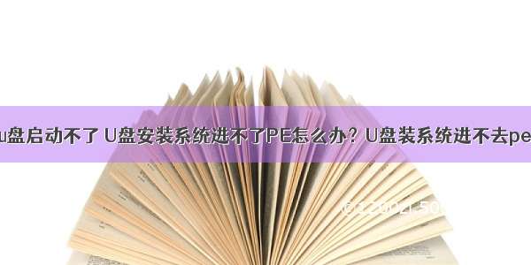 服务器pe系统u盘启动不了 U盘安装系统进不了PE怎么办？U盘装系统进不去pe如何解决？...