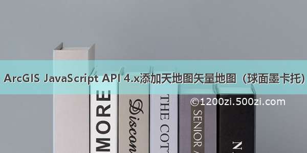 ArcGIS JavaScript API 4.x添加天地图矢量地图（球面墨卡托）