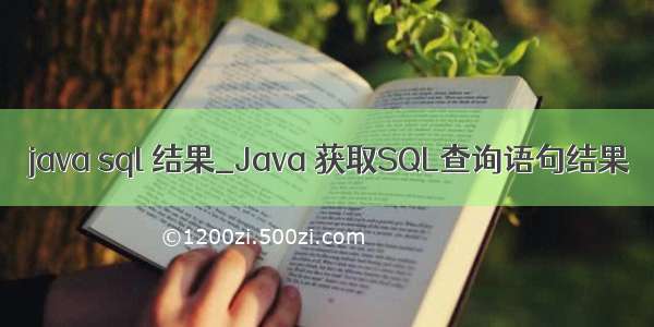 java sql 结果_Java 获取SQL查询语句结果