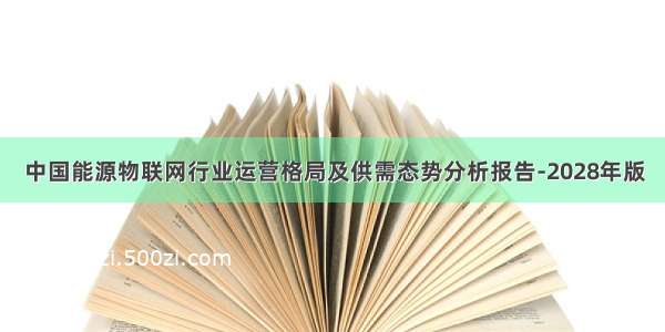 中国能源物联网行业运营格局及供需态势分析报告-2028年版