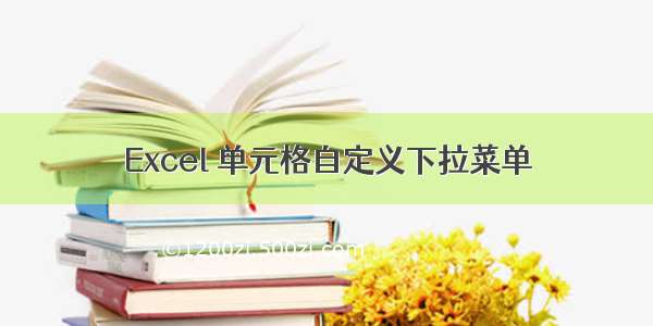 Excel 单元格自定义下拉菜单