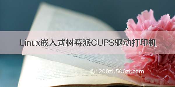 Linux嵌入式树莓派CUPS驱动打印机