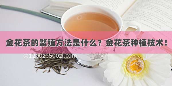 金花茶的繁殖方法是什么？金花茶种植技术！