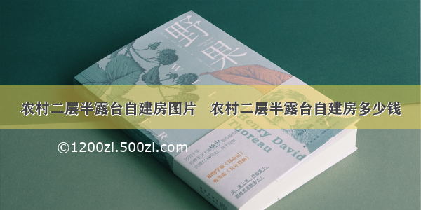 农村二层半露台自建房图片   农村二层半露台自建房多少钱