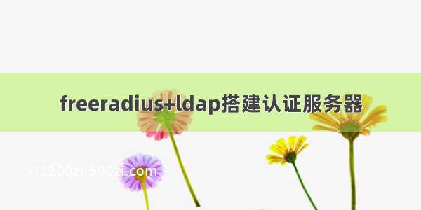 freeradius+ldap搭建认证服务器