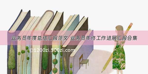 业务员年度总结汇报范文 业务员年终工作进展汇报合集