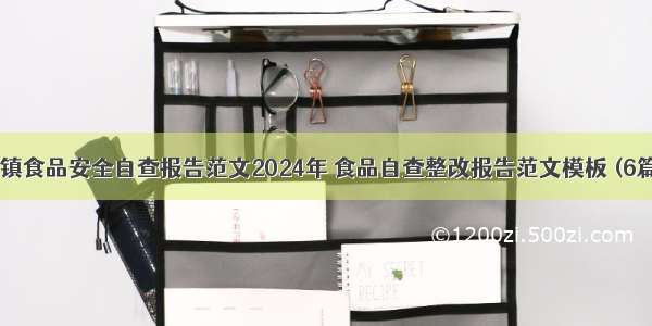 乡镇食品安全自查报告范文2024年 食品自查整改报告范文模板 (6篇）