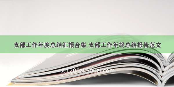 支部工作年度总结汇报合集 支部工作年终总结报告范文