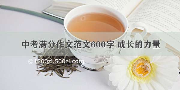 中考满分作文范文600字 成长的力量