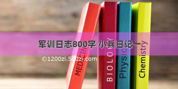 军训日志800字 小兵日记一