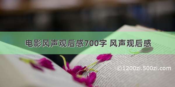 电影风声观后感700字 风声观后感