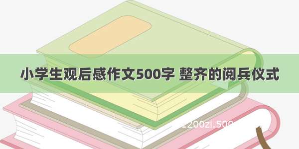 小学生观后感作文500字 整齐的阅兵仪式