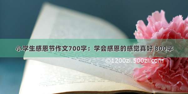 小学生感恩节作文700字：学会感恩的感觉真好 800字