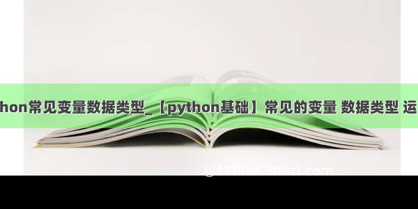 python常见变量数据类型_【python基础】常见的变量 数据类型 运算符