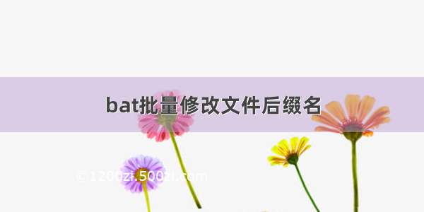 bat批量修改文件后缀名