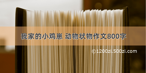 我家的小鸡崽 动物状物作文800字