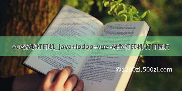 vue热敏打印机_java+lodop+vue+热敏打印机 打印图片