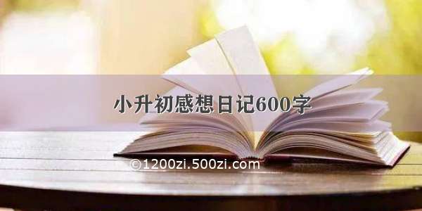 小升初感想日记600字