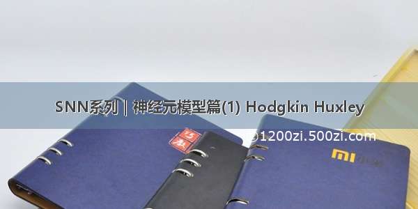 SNN系列｜神经元模型篇(1) Hodgkin Huxley