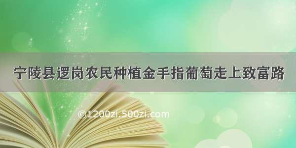 宁陵县逻岗农民种植金手指葡萄走上致富路