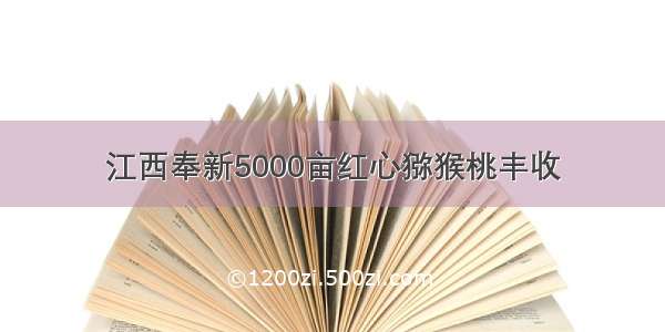 江西奉新5000亩红心猕猴桃丰收