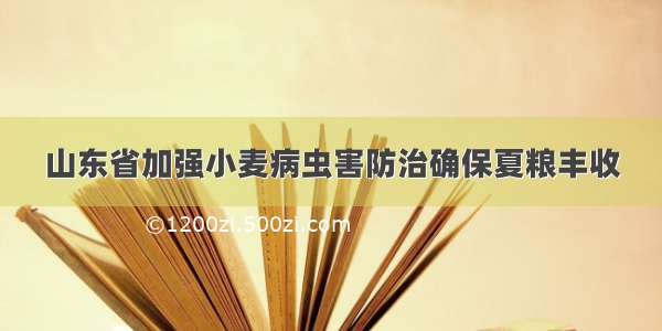 山东省加强小麦病虫害防治确保夏粮丰收