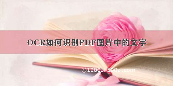 OCR如何识别PDF图片中的文字