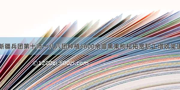 新疆兵团第十师一八八团种植6600余亩黑果枸杞拓宽职工增收渠道