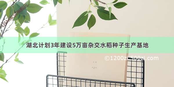 湖北计划3年建设5万亩杂交水稻种子生产基地