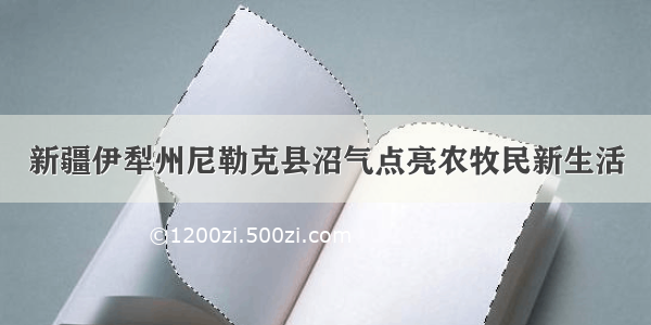 新疆伊犁州尼勒克县沼气点亮农牧民新生活