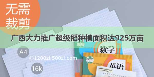 广西大力推广超级稻种植面积达925万亩