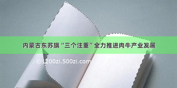 内蒙古东苏旗“三个注重”全力推进肉牛产业发展