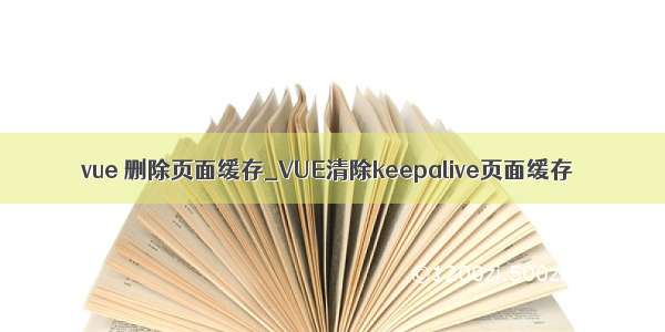 vue 删除页面缓存_VUE清除keepalive页面缓存