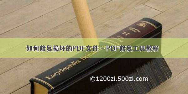 如何修复损坏的PDF文件 - PDF修复工具教程