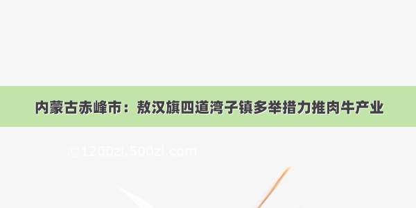 内蒙古赤峰市：敖汉旗四道湾子镇多举措力推肉牛产业