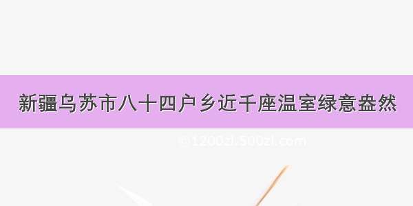 新疆乌苏市八十四户乡近千座温室绿意盎然