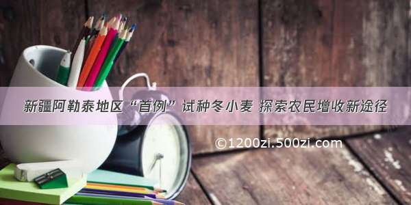 新疆阿勒泰地区“首例”试种冬小麦 探索农民增收新途径