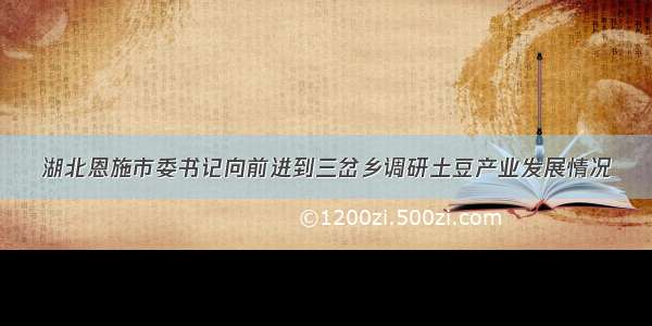 湖北恩施市委书记向前进到三岔乡调研土豆产业发展情况