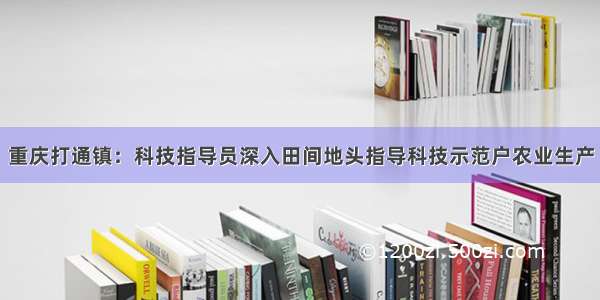 重庆打通镇：科技指导员深入田间地头指导科技示范户农业生产