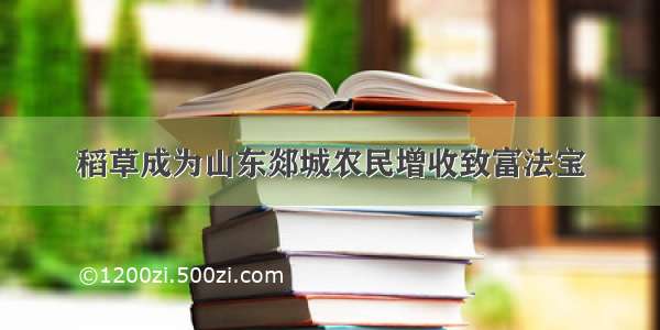 稻草成为山东郯城农民增收致富法宝