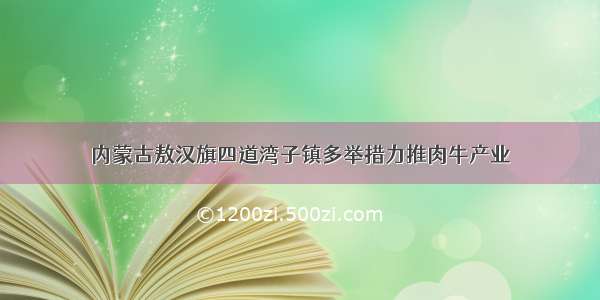 内蒙古敖汉旗四道湾子镇多举措力推肉牛产业