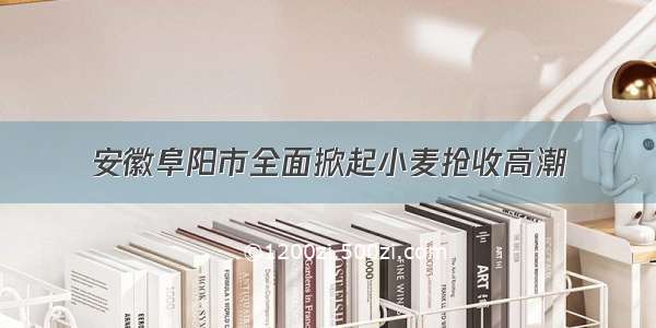 安徽阜阳市全面掀起小麦抢收高潮