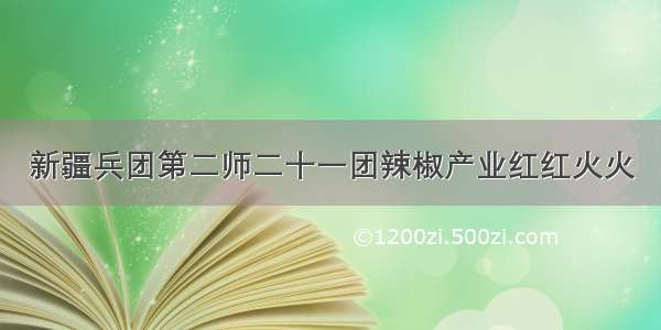 新疆兵团第二师二十一团辣椒产业红红火火