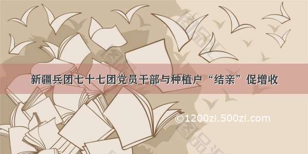 新疆兵团七十七团党员干部与种植户“结亲”促增收