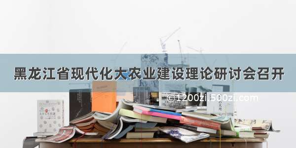 黑龙江省现代化大农业建设理论研讨会召开