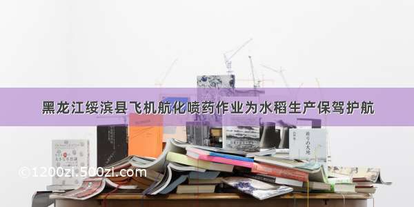 黑龙江绥滨县飞机航化喷药作业为水稻生产保驾护航