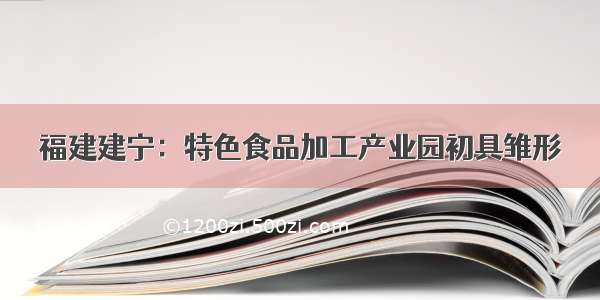 福建建宁：特色食品加工产业园初具雏形