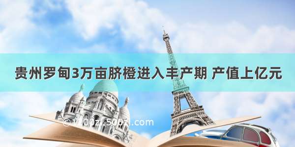 贵州罗甸3万亩脐橙进入丰产期 产值上亿元