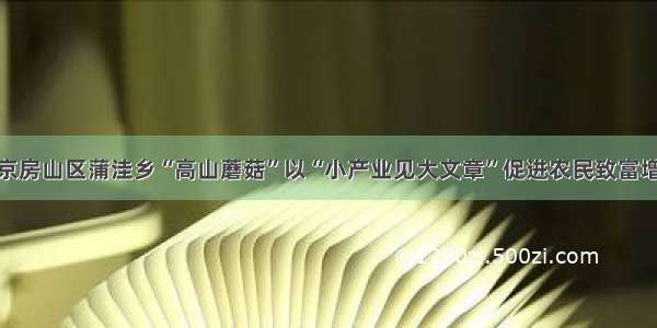 北京房山区蒲洼乡“高山蘑菇”以“小产业见大文章”促进农民致富增收